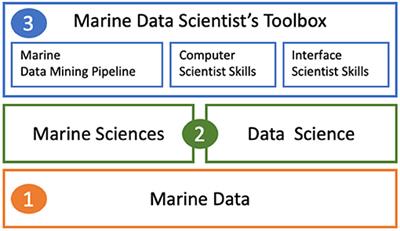 Perspectives on Marine Data Science as a Blueprint for Emerging Data Science Disciplines